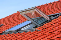 Tickton roof window